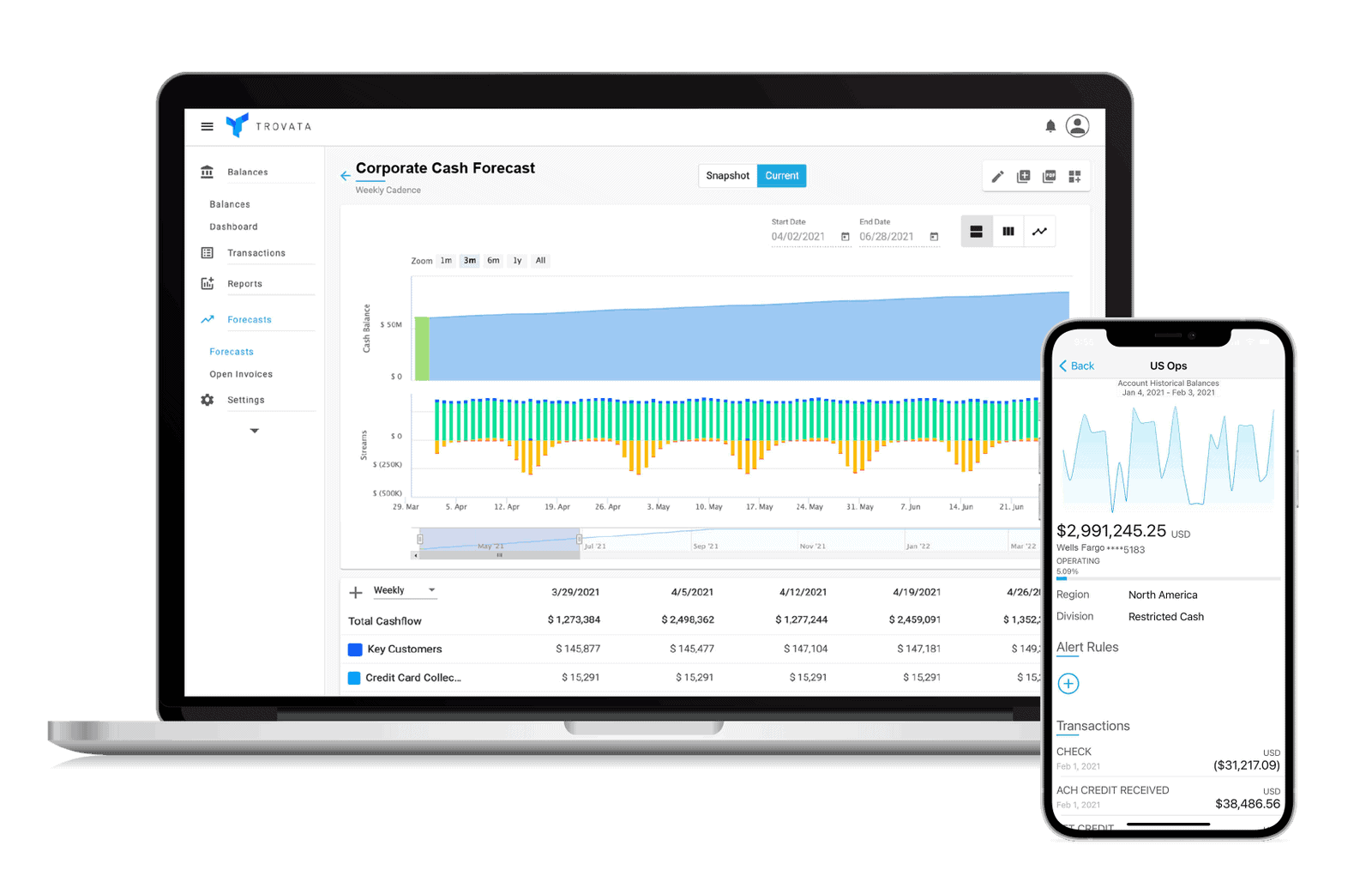 cash forecast screen