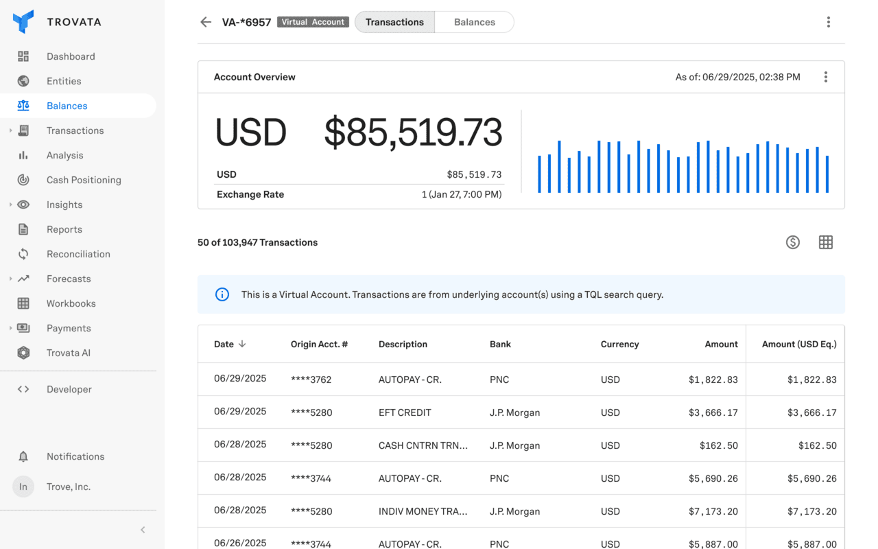 large Balances Virtual Account